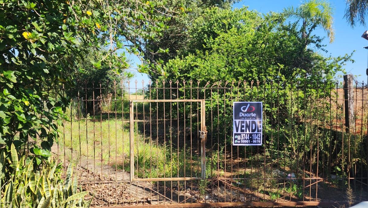 WhatsApp Image 2026-02-12 at 10.59.01 (3)