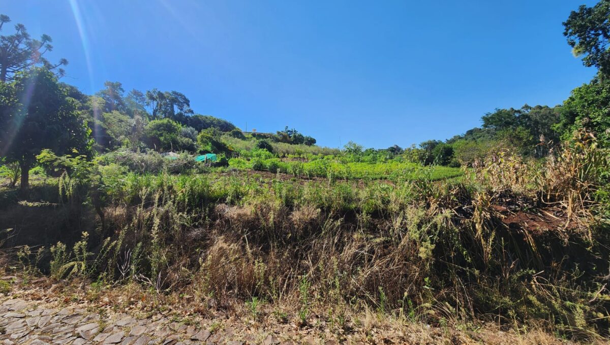 WhatsApp Image 2026-03-03 at 16.15.22 (1)