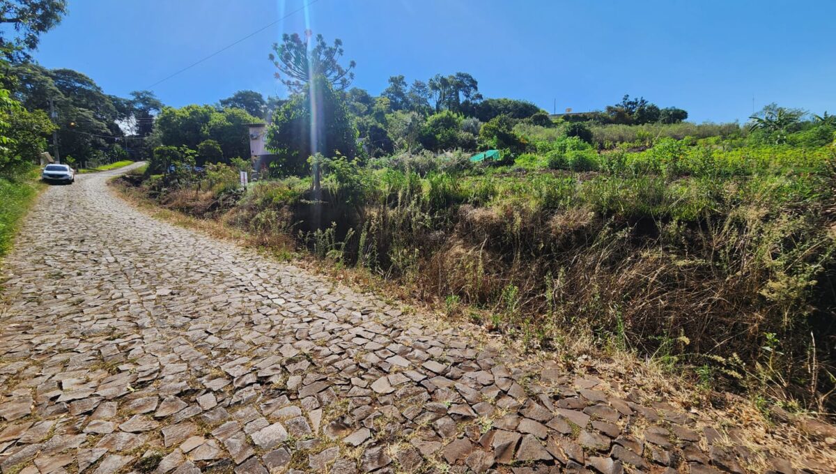 WhatsApp Image 2026-03-03 at 16.15.22