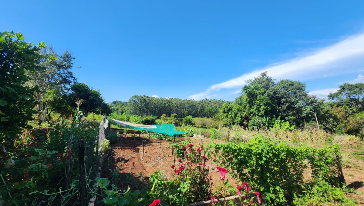 WhatsApp Image 2026-03-03 at 16.15.23 (1)