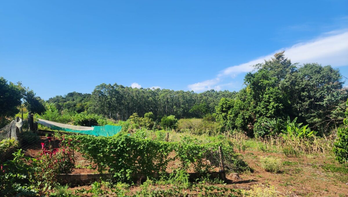 WhatsApp Image 2026-03-03 at 16.15.23