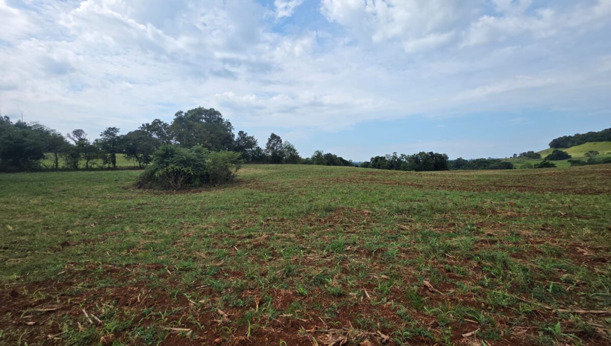 WhatsApp Image 2026-03-07 at 10.37.00 (1)