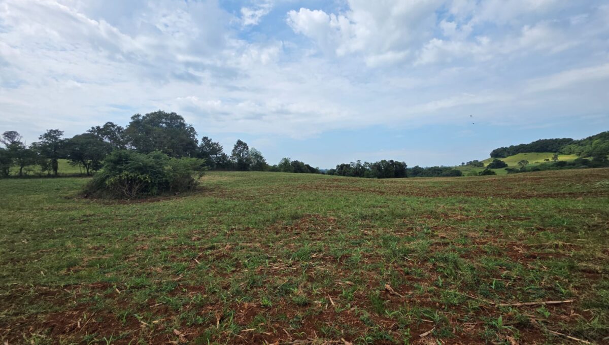 WhatsApp Image 2026-03-07 at 10.37.00