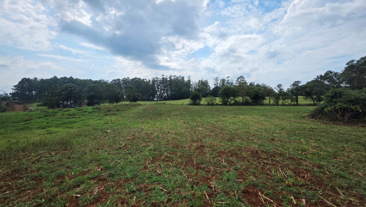 WhatsApp Image 2026-03-07 at 10.37.00 (2)