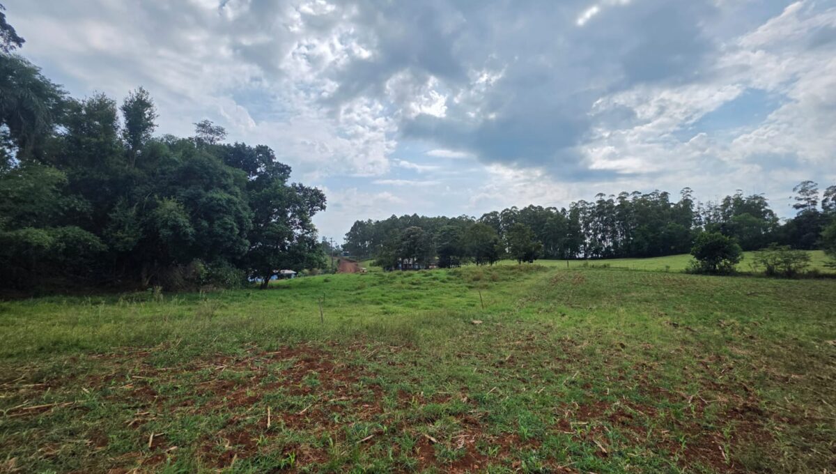 WhatsApp Image 2026-03-07 at 10.37.00 (3)