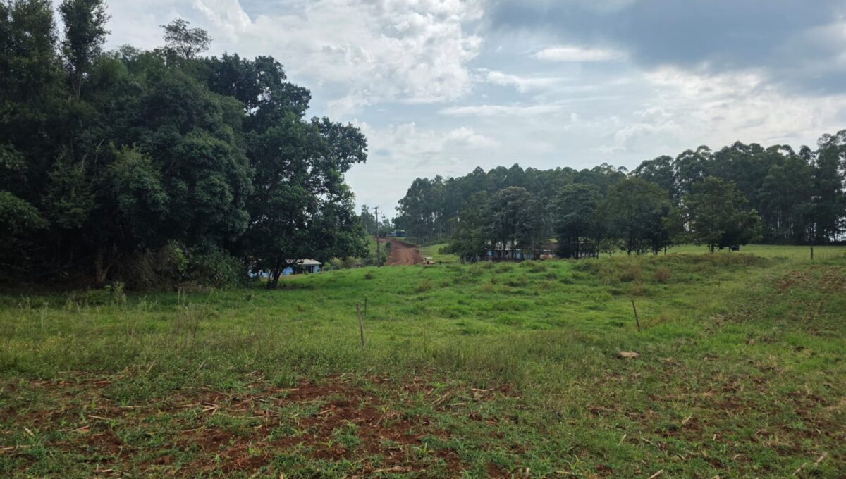 WhatsApp Image 2026-03-07 at 10.37.00 (4)