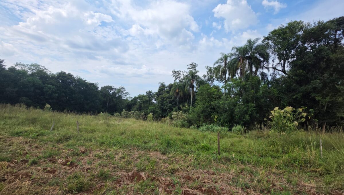 WhatsApp Image 2026-03-07 at 10.51.08 (1)