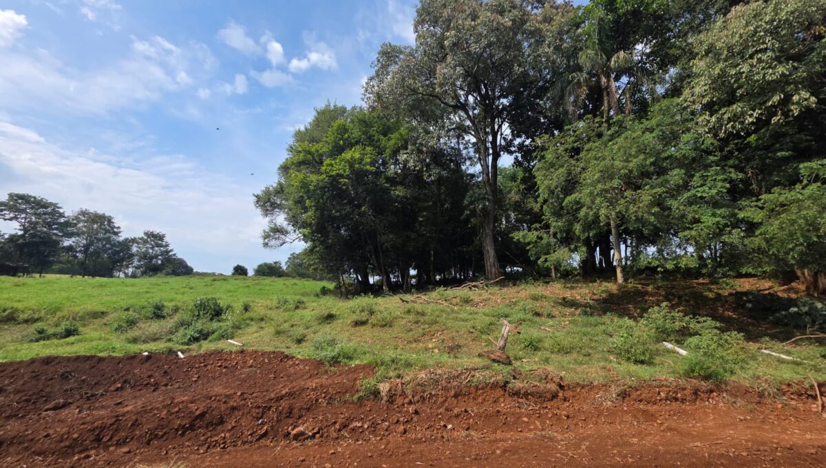 WhatsApp Image 2026-03-07 at 10.51.08