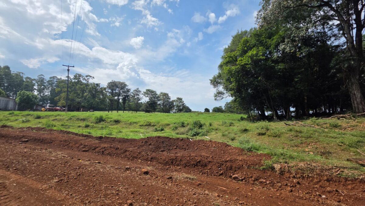 WhatsApp Image 2026-03-07 at 10.51.08 (2)